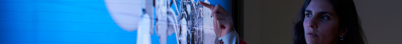 Bild zu Finance Analyst - Submarines